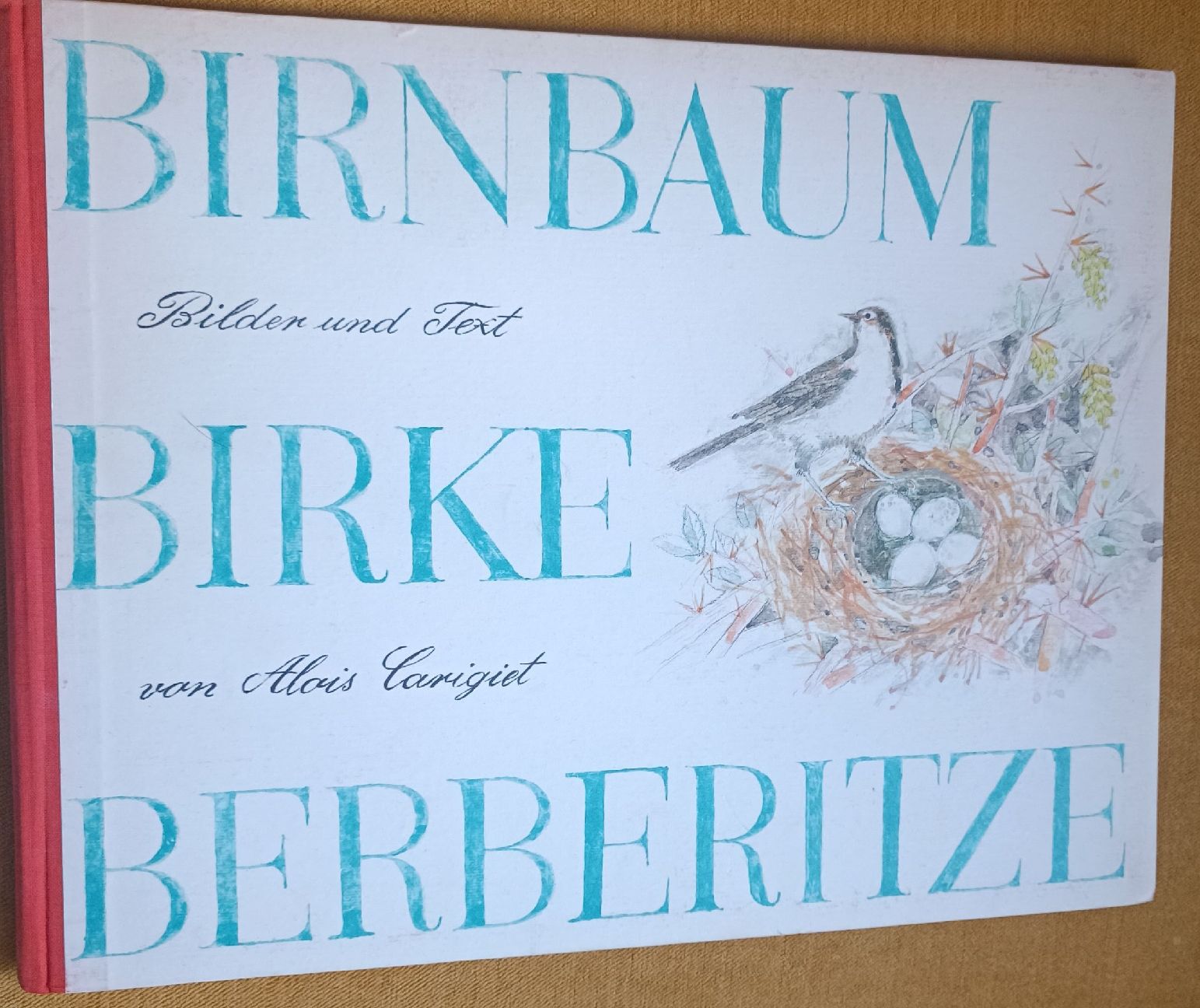 Bücher: Bernbaum Birke Berberitze Handsigniert Alois Carigiet – Gebraucht aus Menziken von Artographs 2