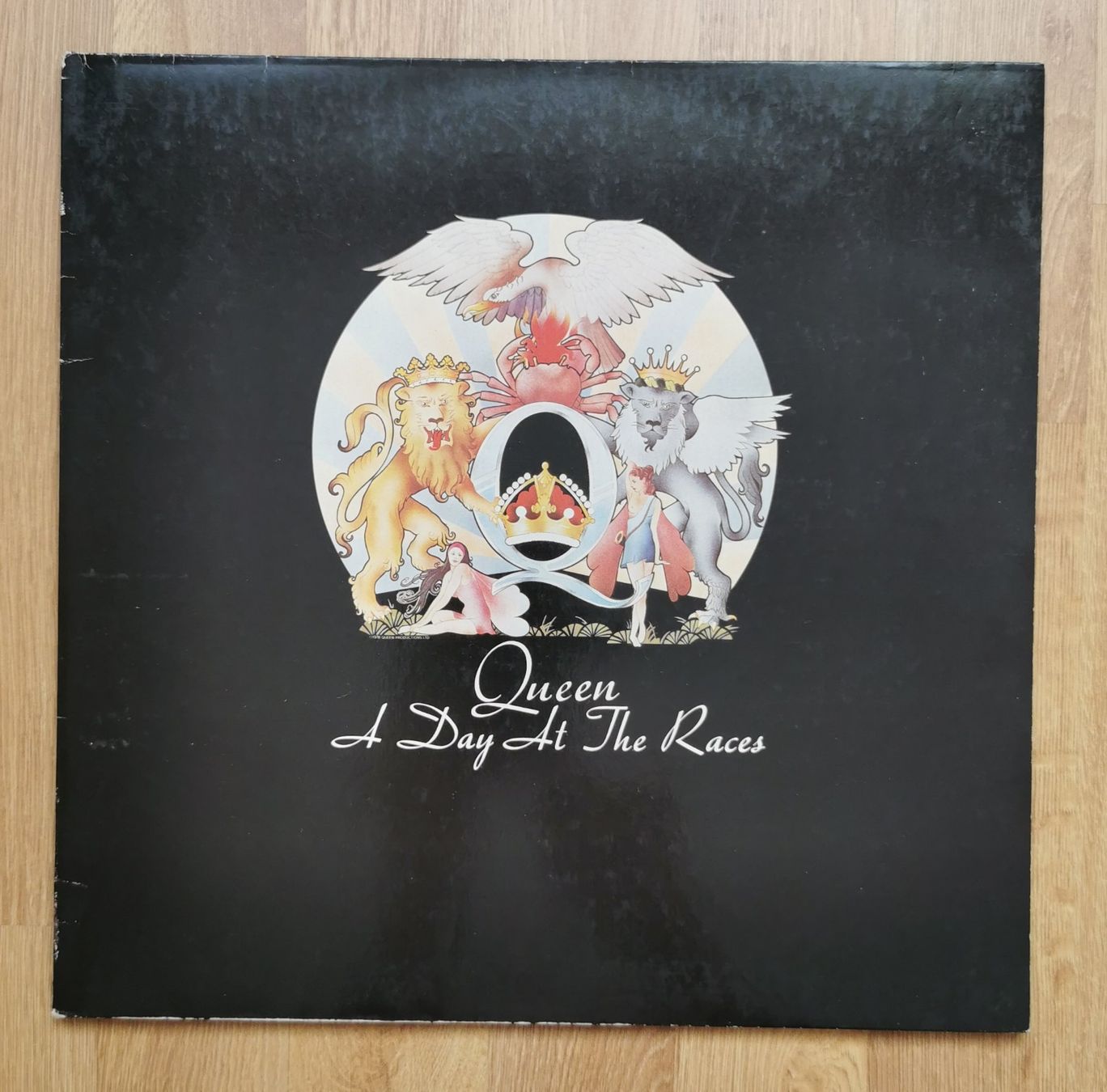 Dischi in vinile: Queen - A Day At The Races – Usato da Birsfelden venduto da dsc_f8gx
