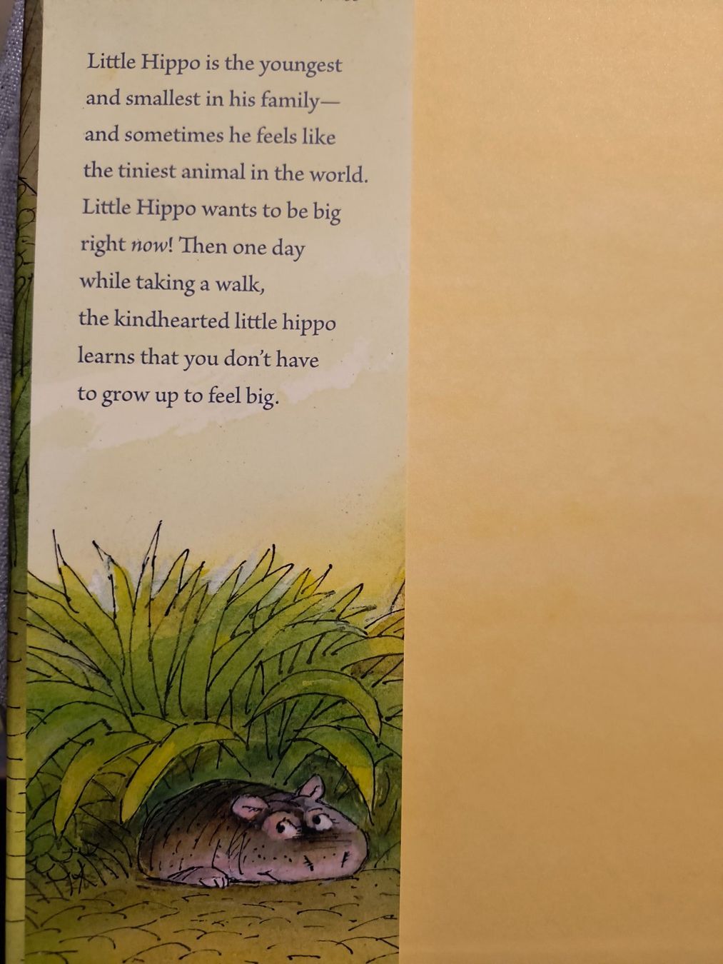 Libri: BIG LITTLE HIPPO Kinderbuch englischer Sprache – Usato da Schöfflisdorf venduto da kin_2dp9 1