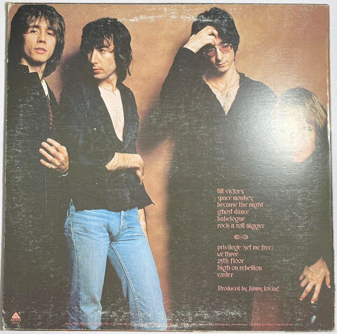 Dischi in vinile: LP: PATTI SMITH GROUP - Easter (first release 1978) – Nuovo (secondo la descrizione) da Frenkendorf venduto da Yard-Sale-2000 1