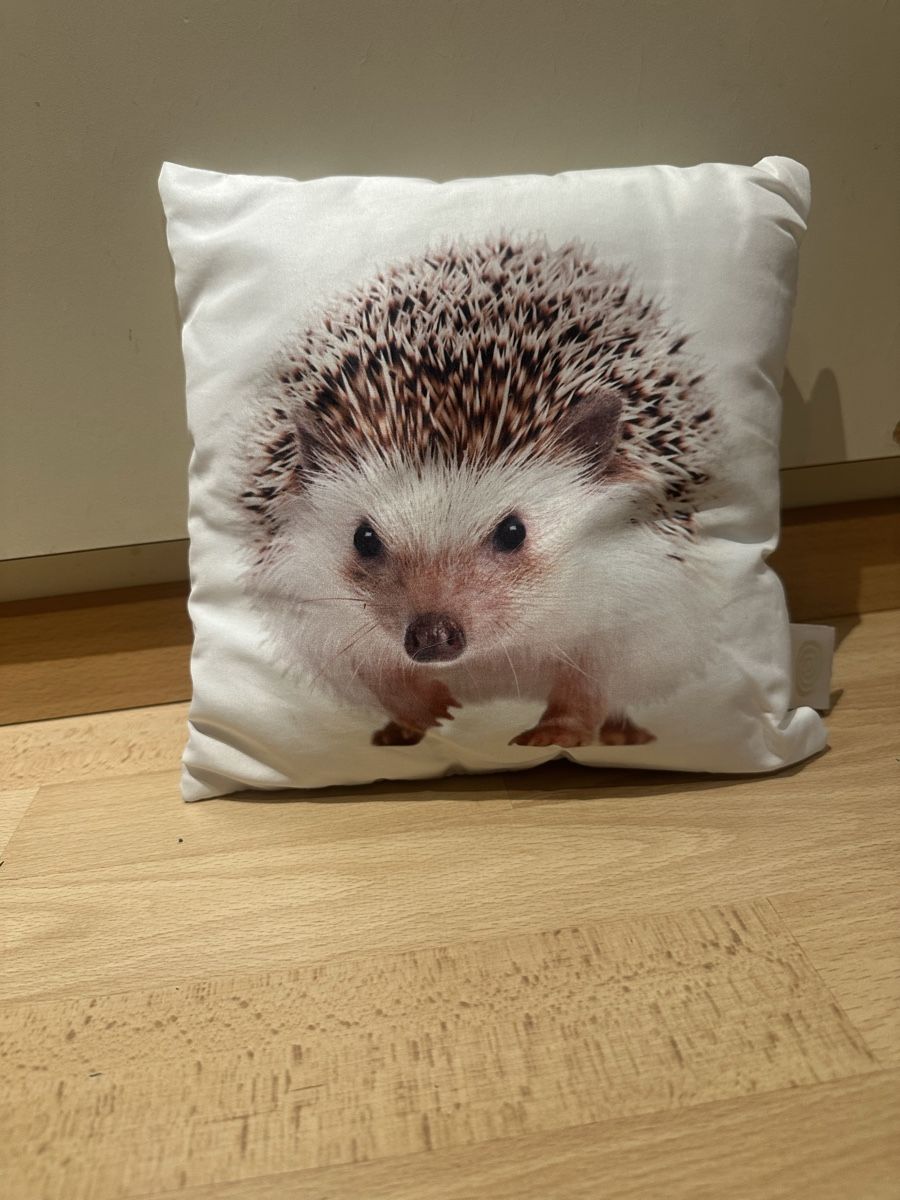 Cuscini: Süsses Igel Kissen – Usato da Uetendorf venduto da Gar_9pvy
