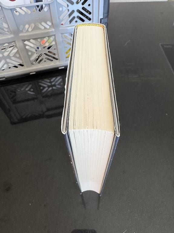Bücher: Manifest eines Alltagshelden Taschenbuch – Gebraucht aus Oberbüren von dijbdn 2