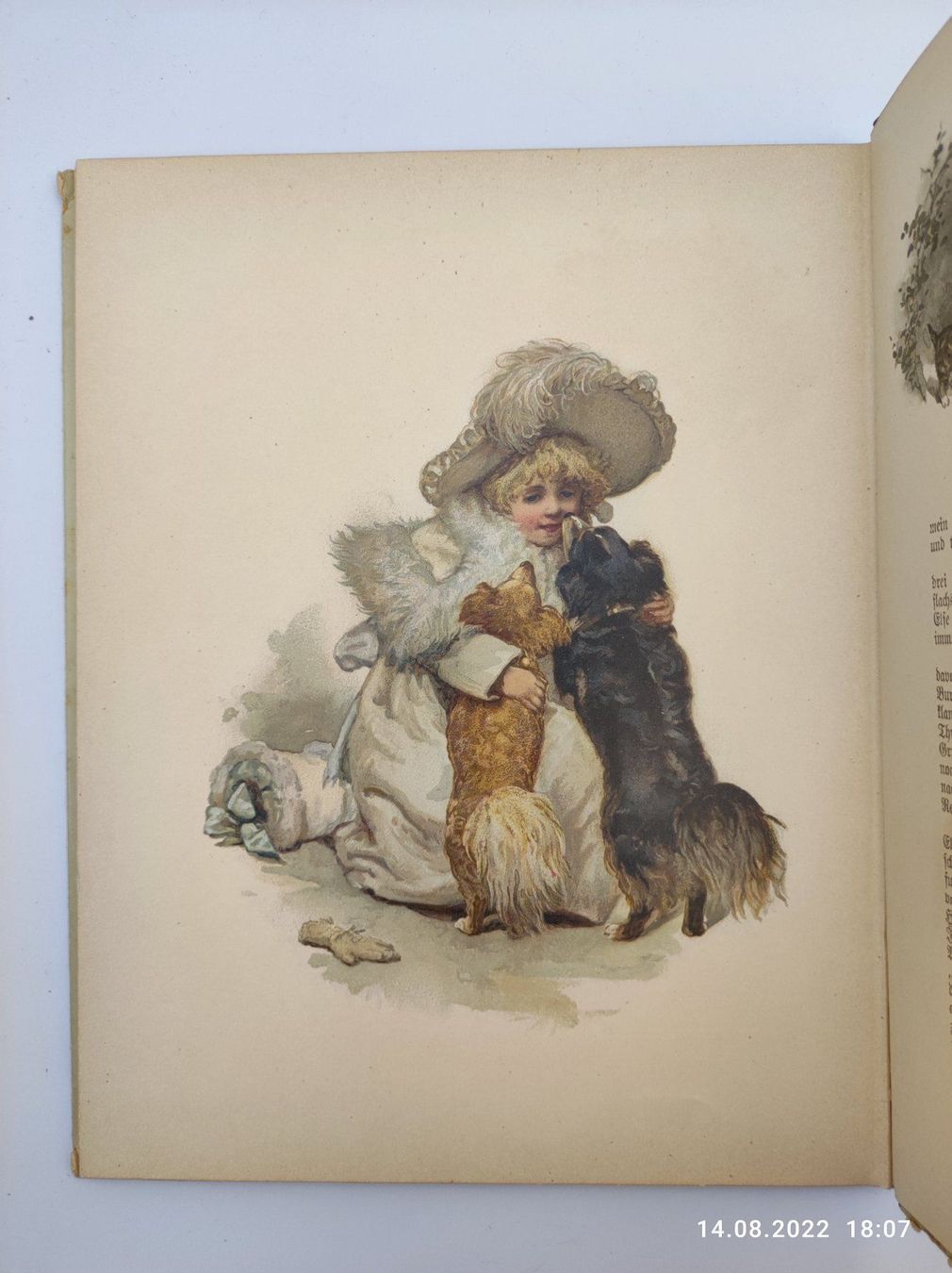 Bücher: KINDERBUCH  - WAS MAN IM WALDE HÖRT – Gebraucht aus Goldach von Gaip 4