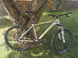 Cube Mountainbike als Fixie