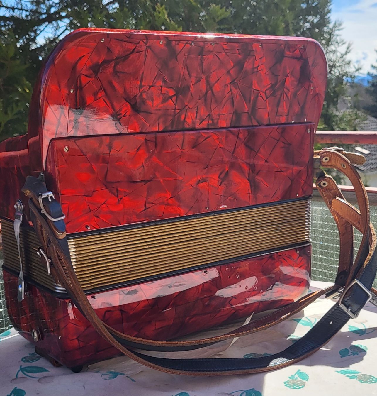 Hohner Strumenti musicali: accordéon hohner Accordina II – Usato da Penthalaz venduto da EvandroLuz 3