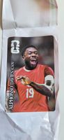 Alphonso Davies Cola Panini