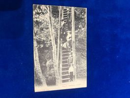 Alte Ansichtskarte Zürich Uetliberg 1905 gelaufen