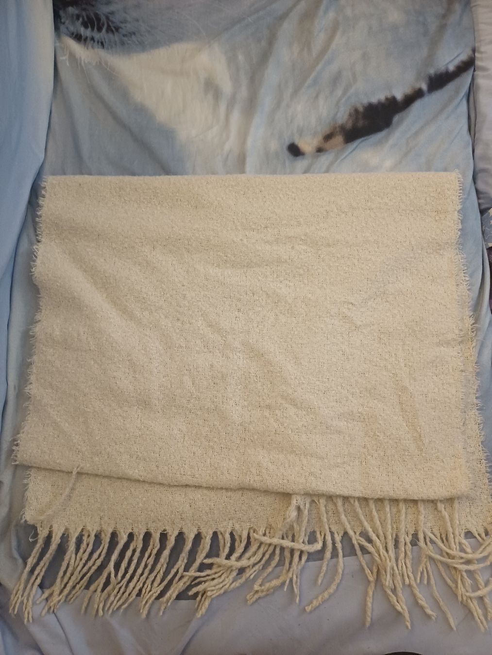 Foulard & Sciarpe: cream-colored fringed scarf – Usato da Dietikon venduto da Francesca_Pk 1