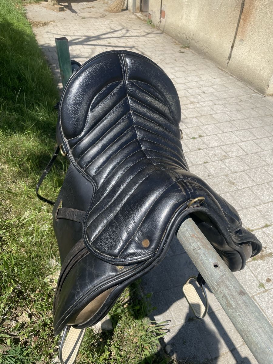 Selle & Accessori: Rancher Sattel  Spyrig – Usato da Mönthal venduto da Akirebi66 1