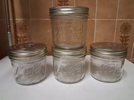 Lot de 4 bocaux petits "Le Parfait"