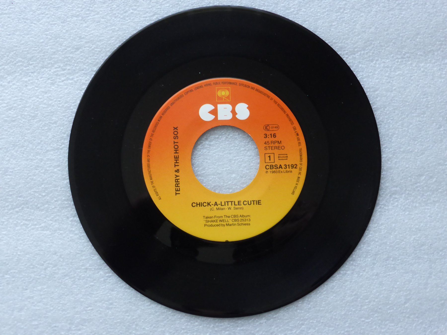 Dischi in vinile: Vinyl Single  TERRY and THE HOT SOX – Usato da Küssnacht am Rigi venduto da Mondkinder 1