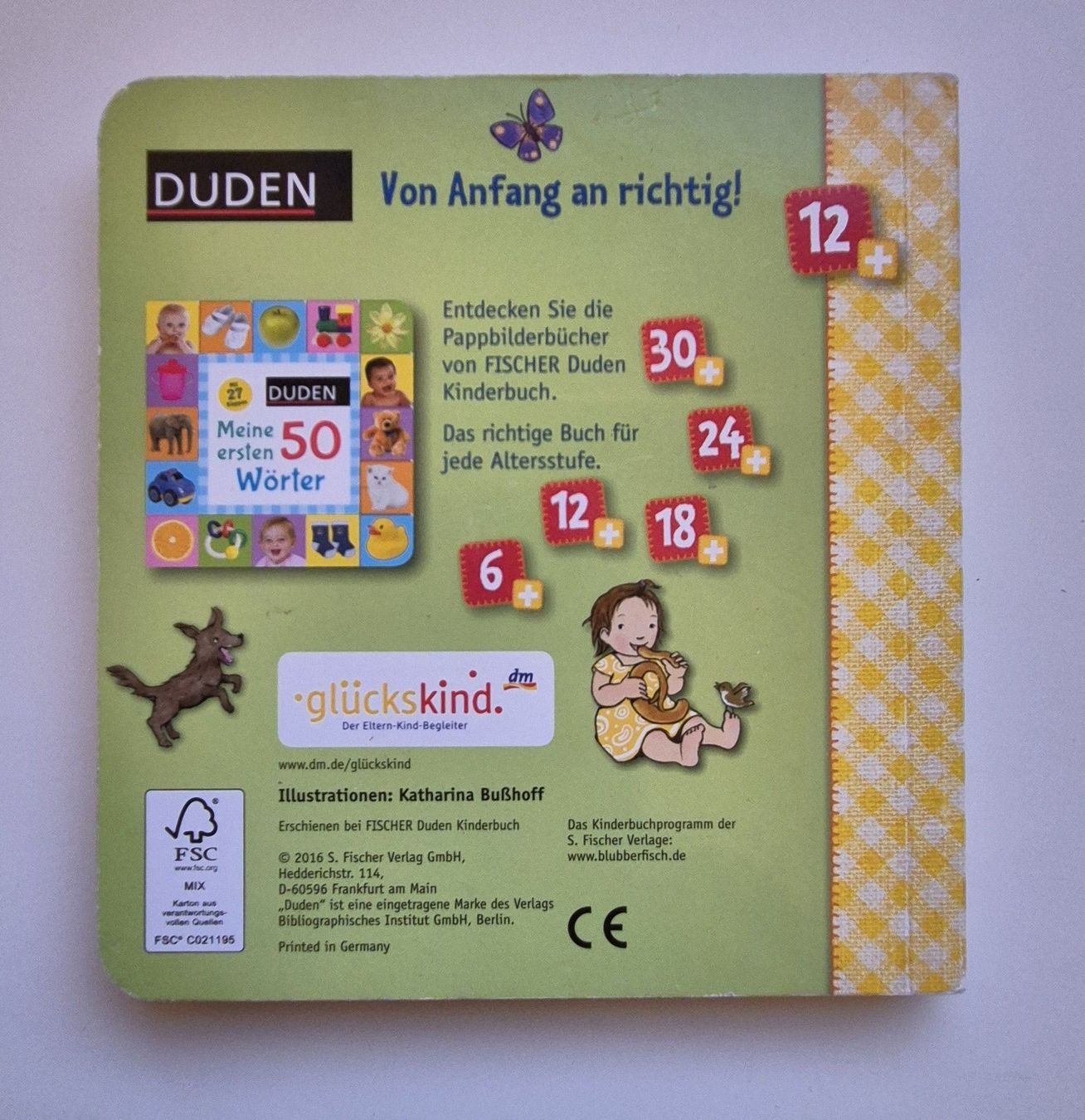 Bücher: DUDEN 12+  -  Alle meine Sinne – Gebraucht aus Niederweningen von Obson 3