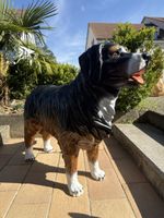 Berner Sennenhund, Garten Deko,NEU!
