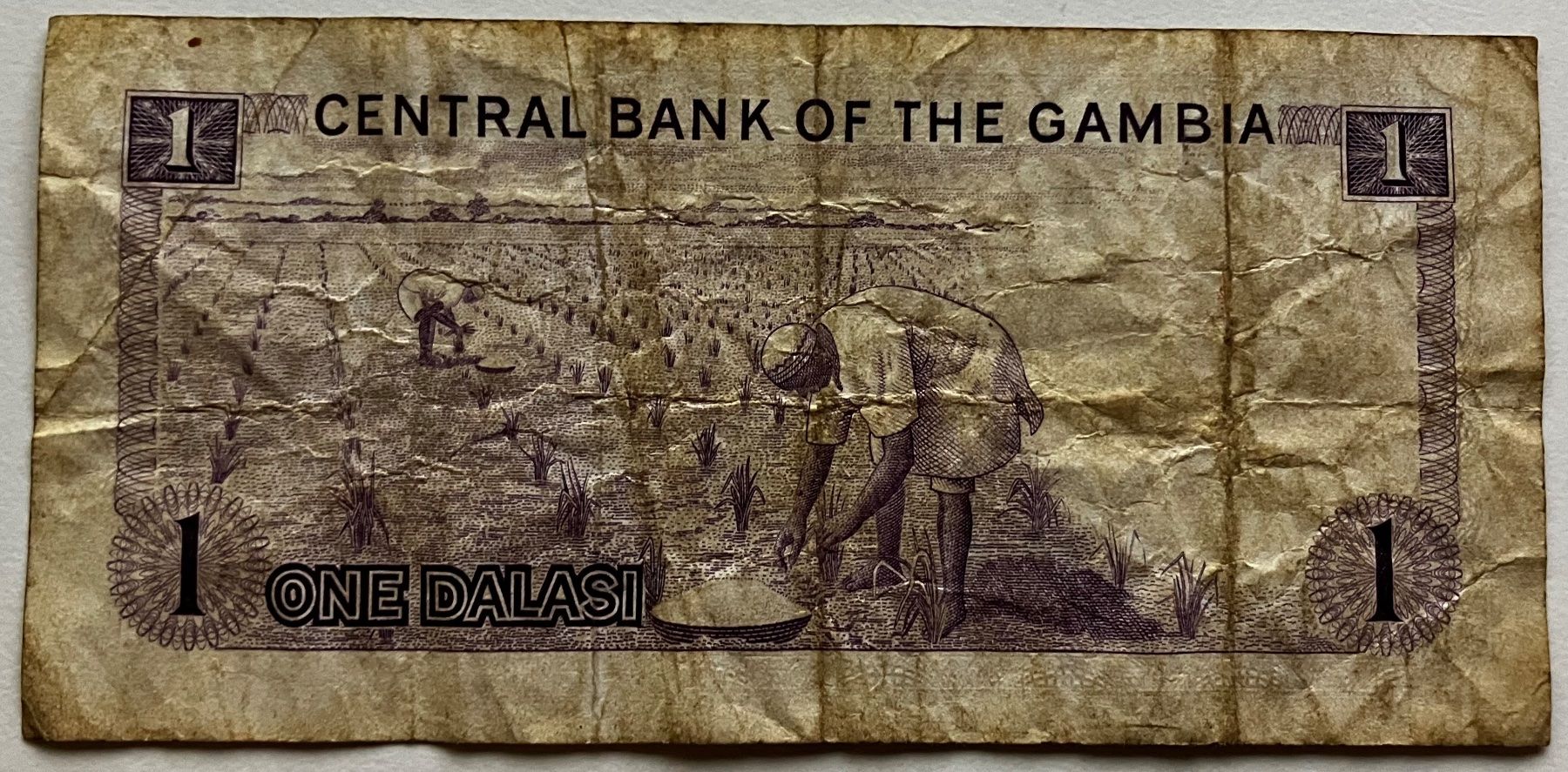 Banknoten: Gambia 1 Dalasi – Gebraucht aus Algetshausen von Carrhard 1