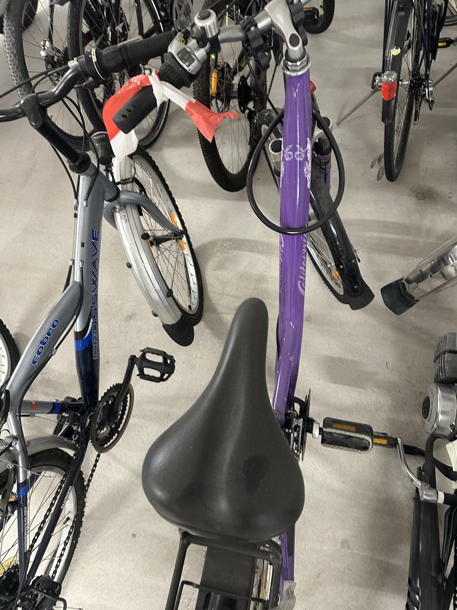 Vélos: Velo – D'occasion à Root par RANI.S