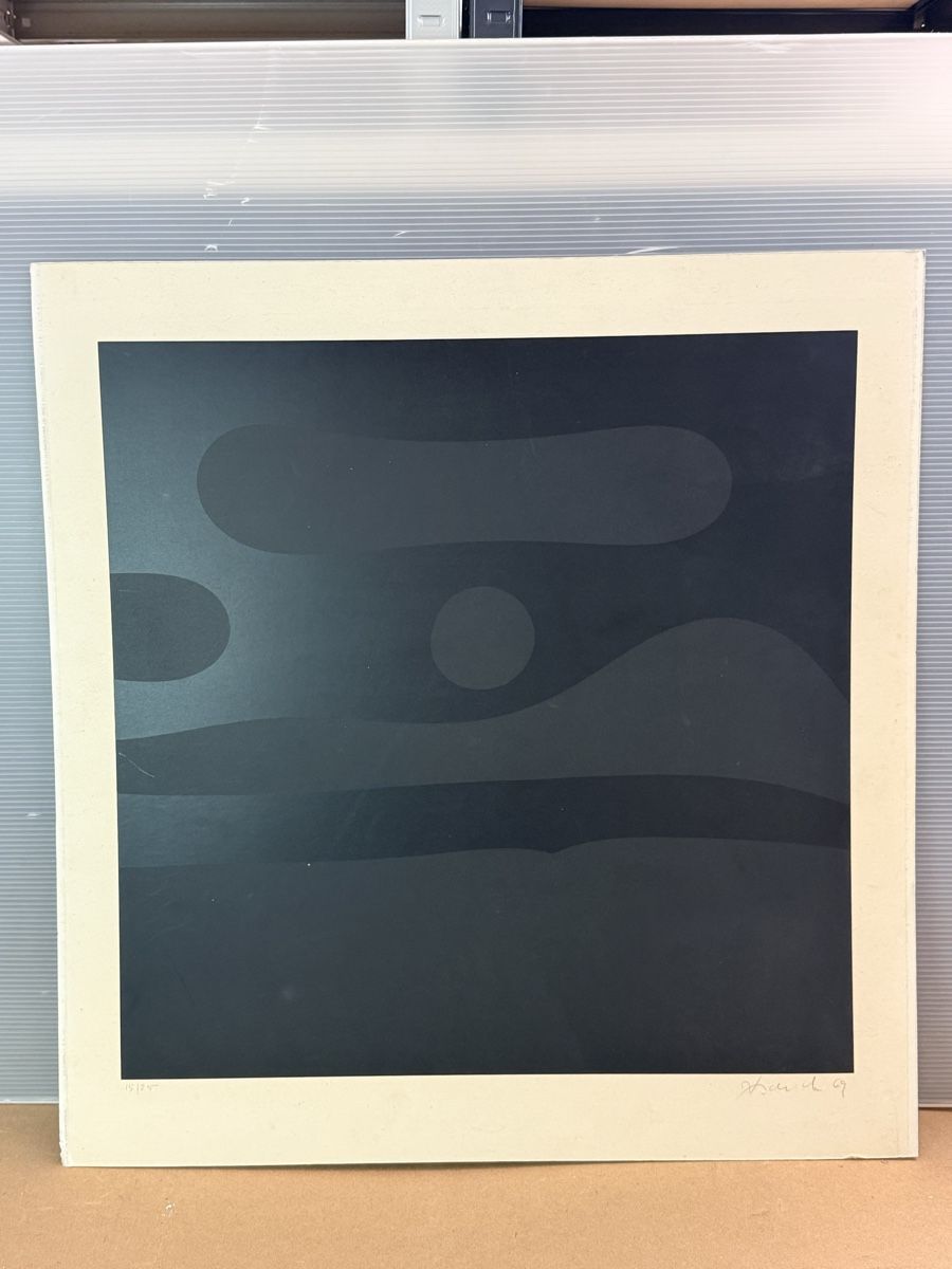 Grafica & Litografie: Farblitographie 61x59cm – Usato da Solothurn venduto da NUVICO 5
