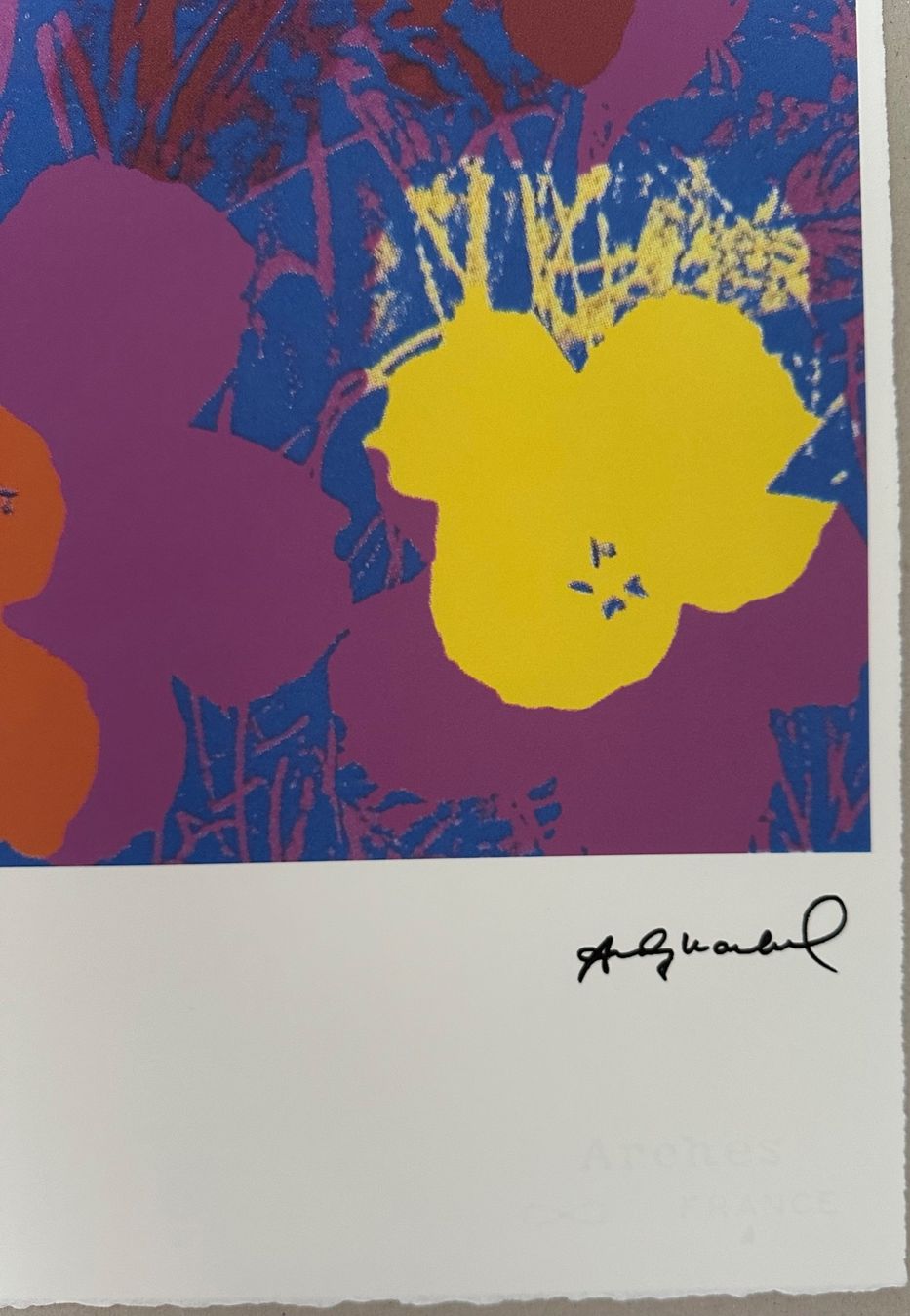Foto & Immagini: Andy Warhol: Flowers, POP Art 92/100 – Nuovo (secondo la descrizione) da Meilen venduto da Smgdesign 2