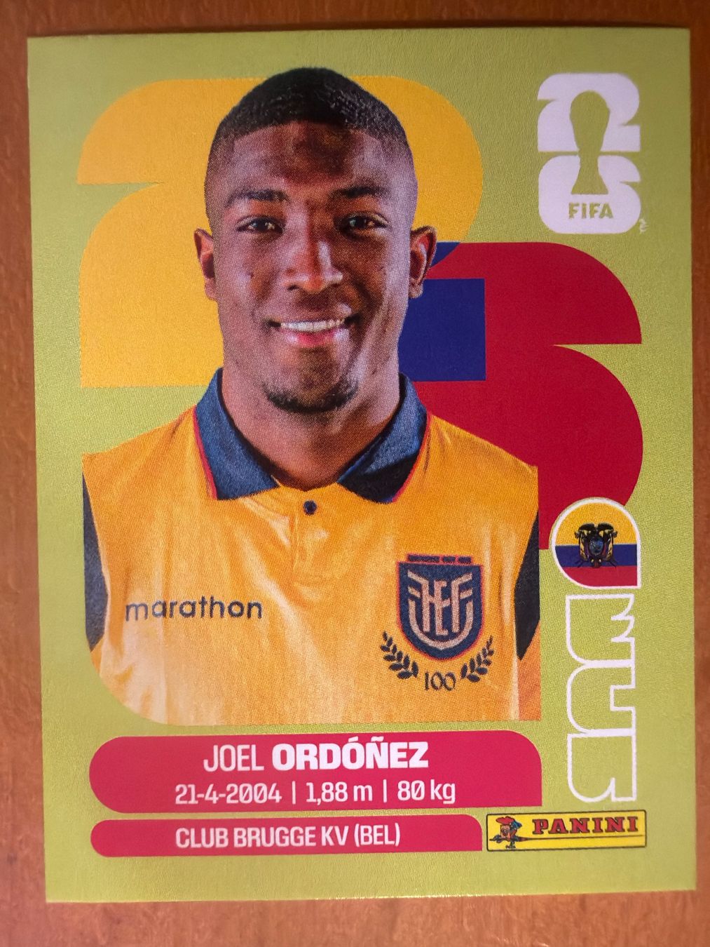 Panini Cartes à collectionner: Panini ECU8 – Neuf (Voir description) à Susten par Rechnun