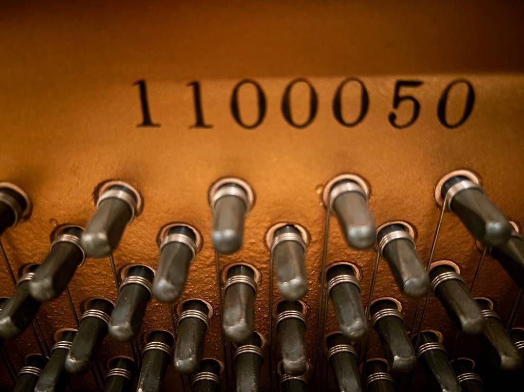 Strumenti musicali: YAMAHA Klavier – Usato da Münchenstein venduto da Radicchio 1