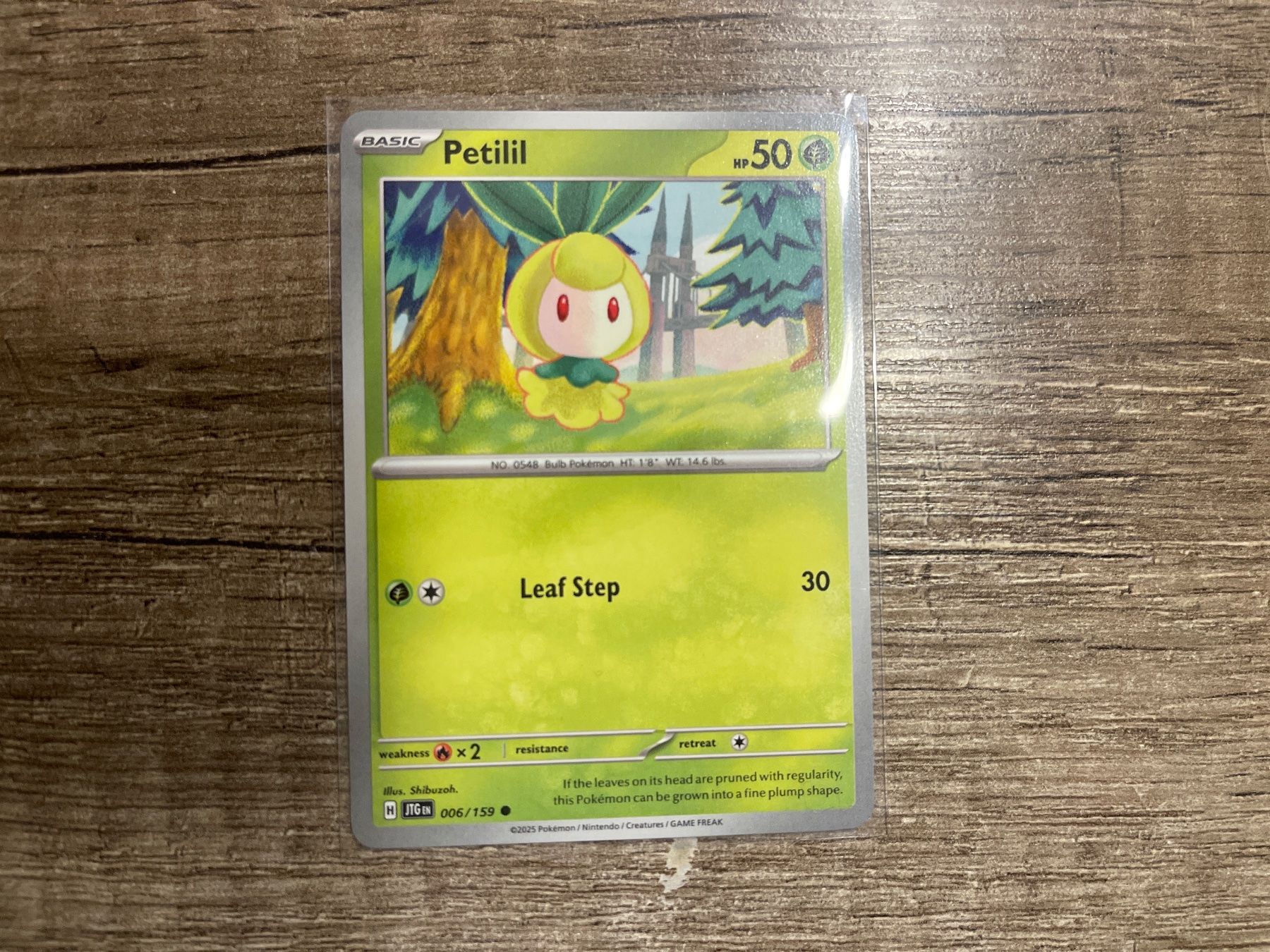 Pokémon Carte collezionabili: J/Petilil Pokémon Karte – Usato da Frutigen venduto da swissTCGworld