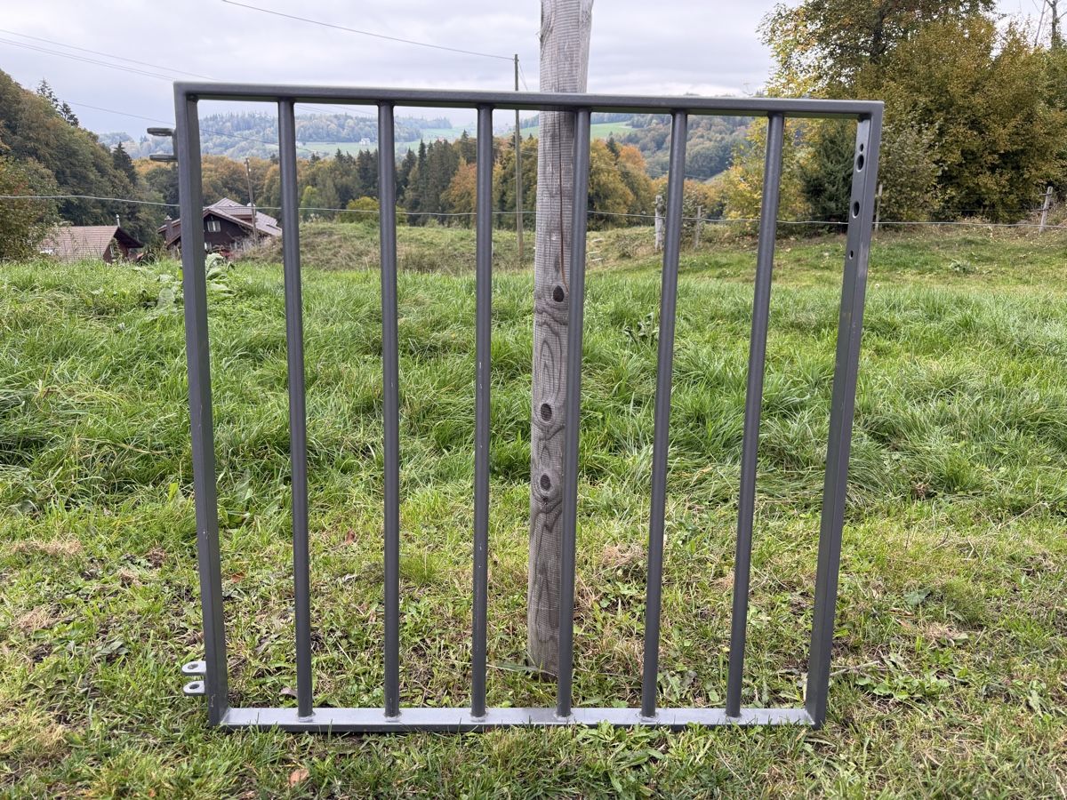 Porte: Gartentor – Usato da Plasselb venduto da MatthD