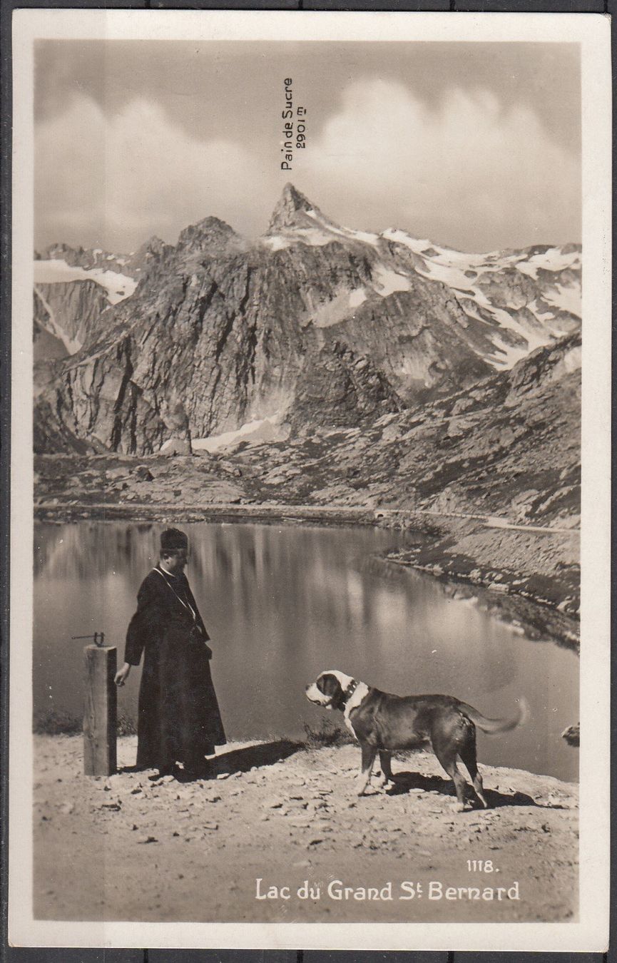 Ansichtskarten: AK.Lac.Du.Grand.St.Bernhard VS – Gebraucht aus Herrliberg von Lfrifda