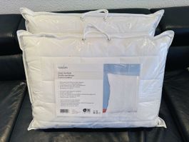 2 Cocon Synthetik-Kissen 50 × 70 cm – NEU & OVP