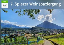 2 Tickets 7. Spiezer Weinspaziergang 12. September 2026