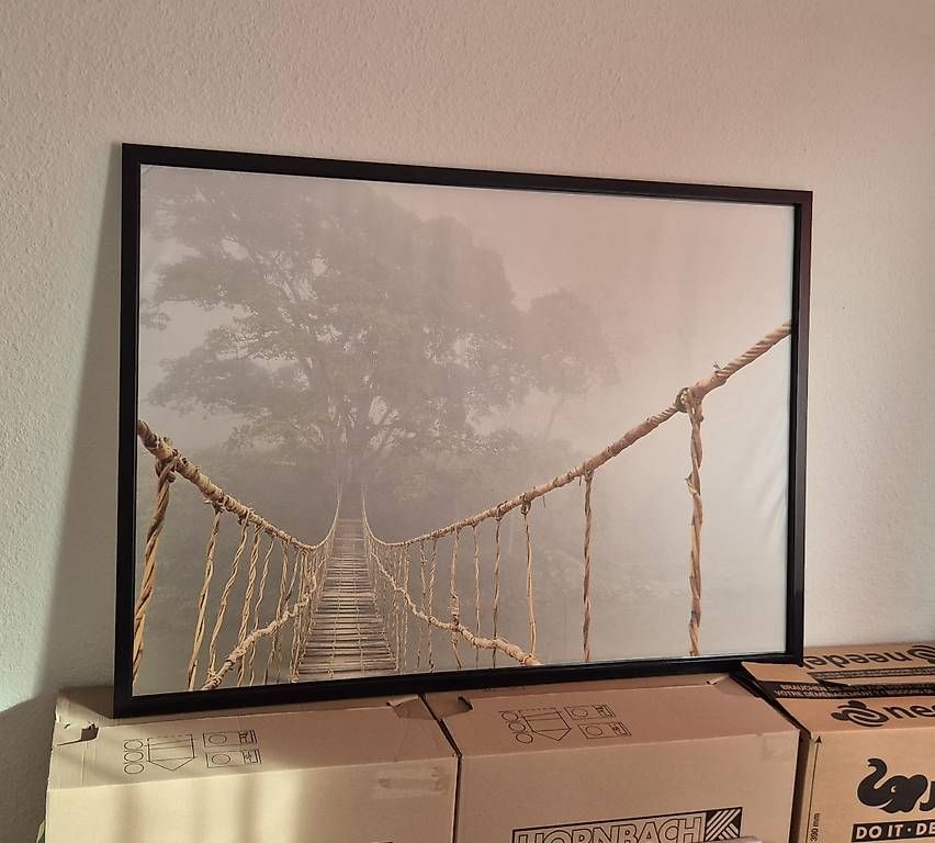 Foto & Immagini: Bild Brücke im Dschungel – Usato da Zürich venduto da pompiersmartin