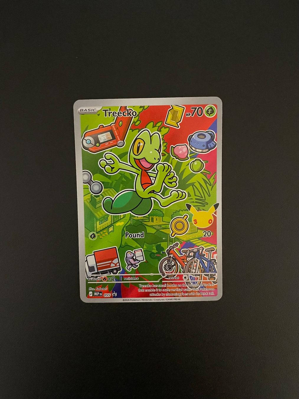 Pokémon Sammelbilder & Trading cards: Pokémon First Partner Gen 3 Treecko, Torchic & Mudkip – Gebraucht aus Zürich von kev_c5cb 2