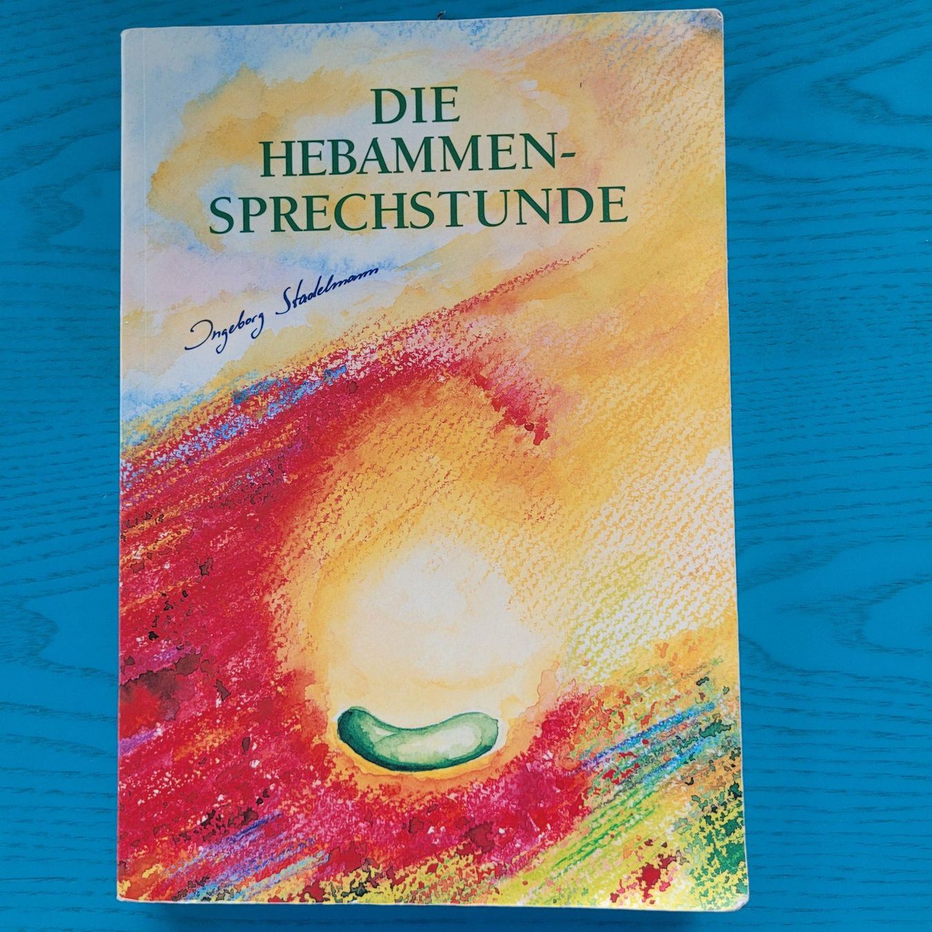 Libri: Die Hebammen- Sprechstunde – Usato da SCHÜBELBACH venduto da CoKaHa