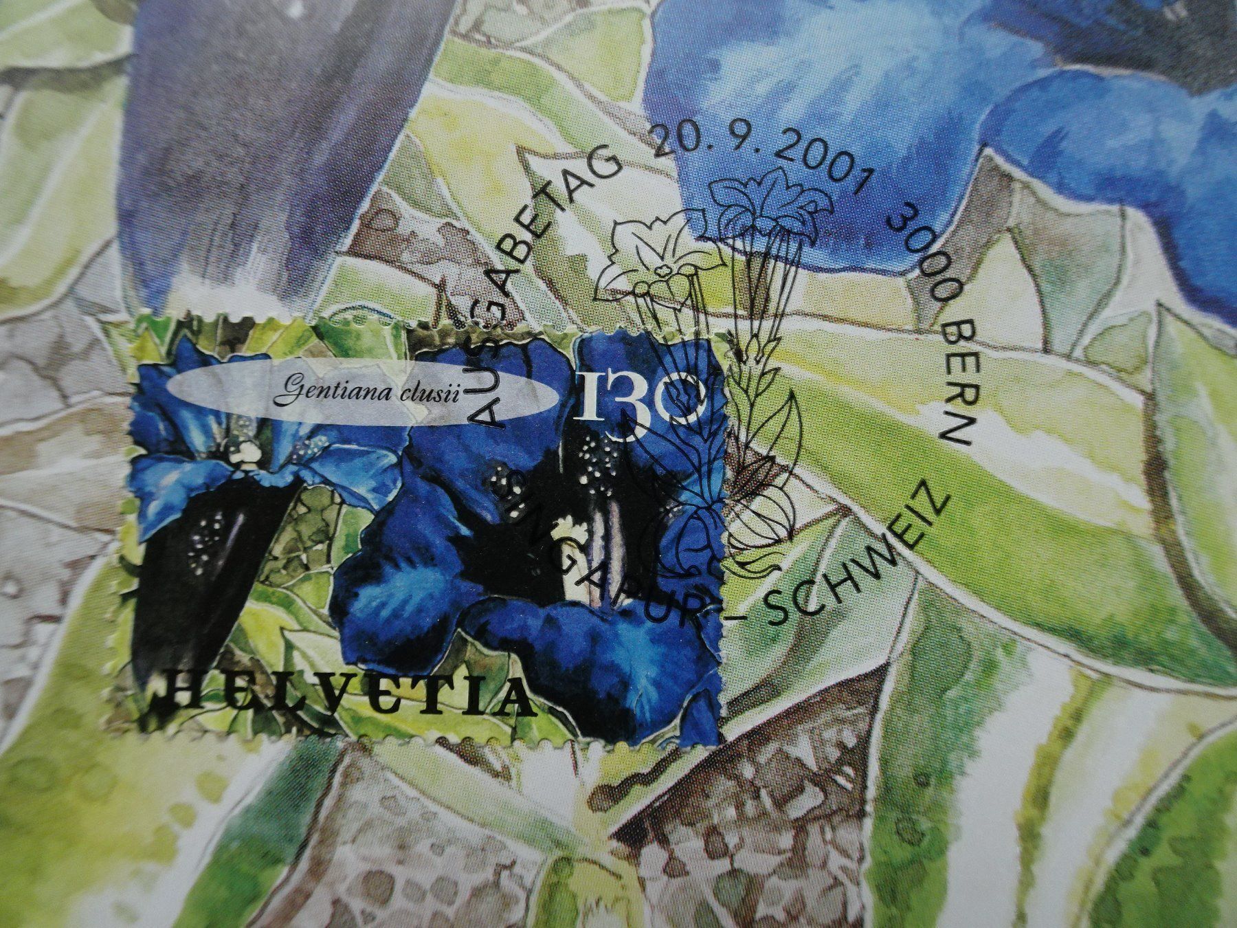 Vino: 2001 – Nuovo (secondo la descrizione) da Aadorf venduto da Chnorli-Furz 6