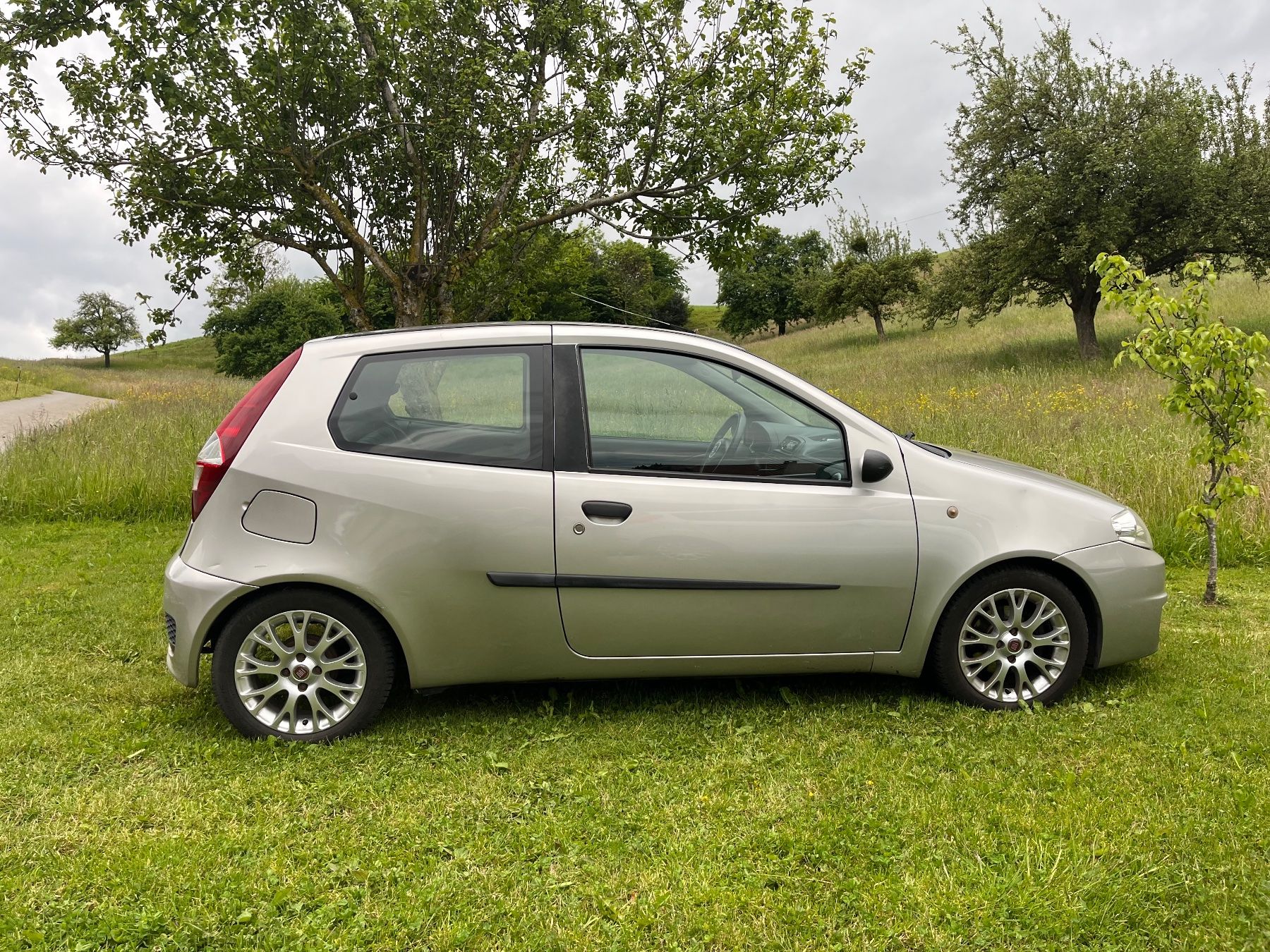 Fiat Automobili: Fiat Punto 1.2 16v – Usato da Sachseln venduto da nel_d6m9 1