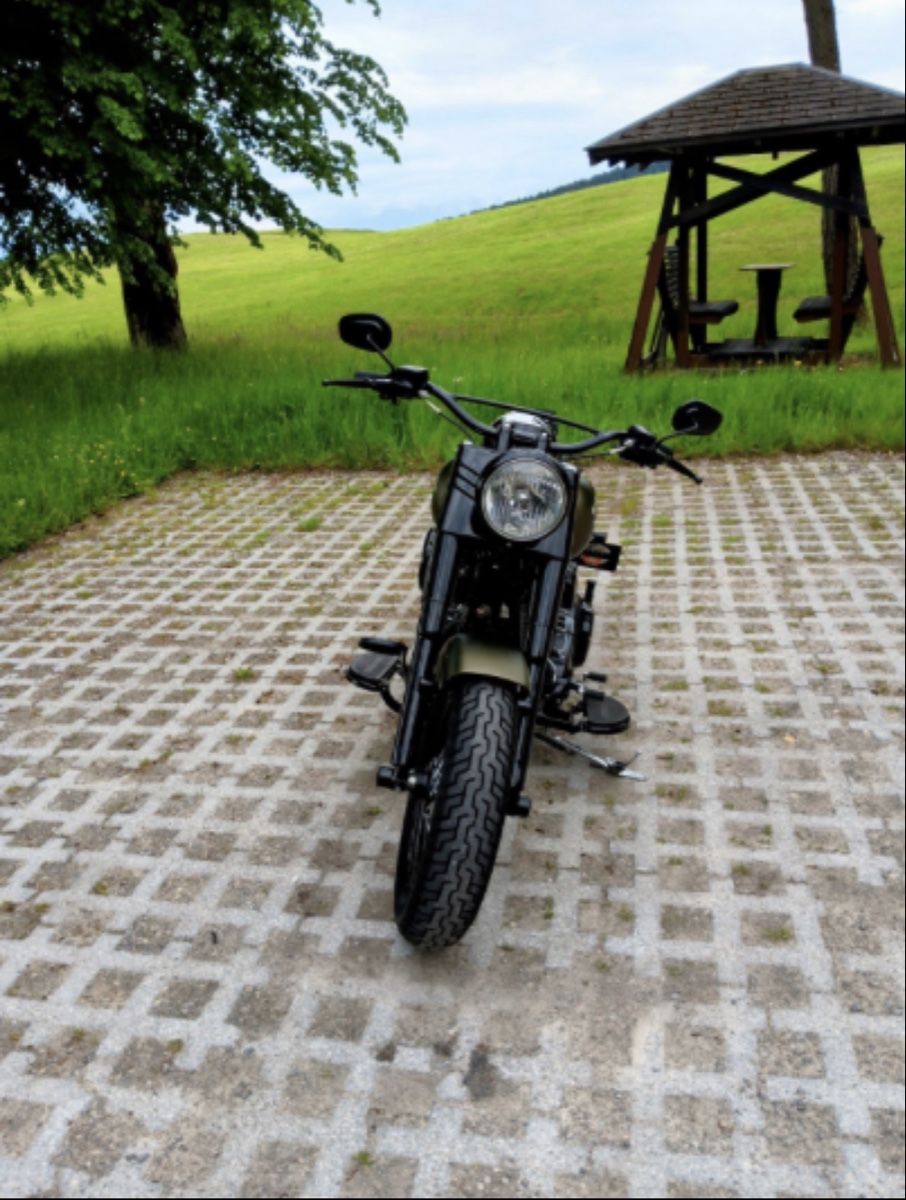 Harley-Davidson Chopper: Harley-Davidson Softail Slim S FLSS – Usato da Amriswil venduto da Mr.M.S 3