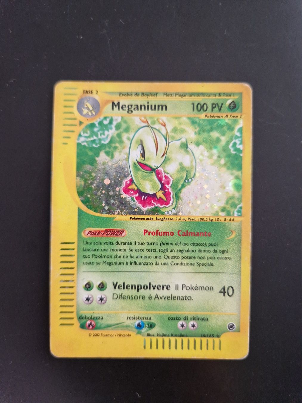Pokémon Carte collezionabili: Expedition completo 🇮🇹 no reverse – Nuovo (secondo la descrizione) da Giubiasco venduto da MrGru1992 8