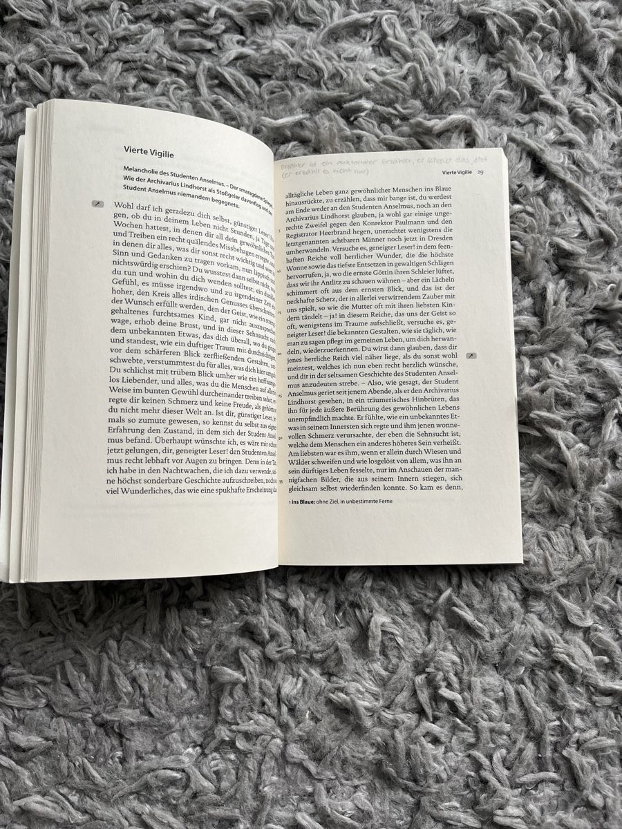 Libri: Der goldene Topf, E. T. A. Hoffmann – Usato da Kaltenbach venduto da happysunshineee 2
