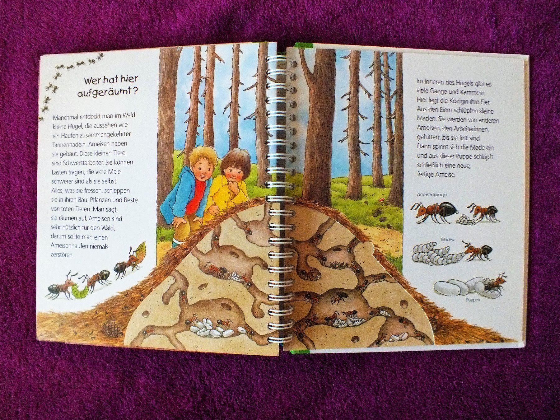 Libri: Wieso Weshalb Warum Junior Buch - Der Wald – Usato da Müllheim Dorf venduto da Seeeule01 6