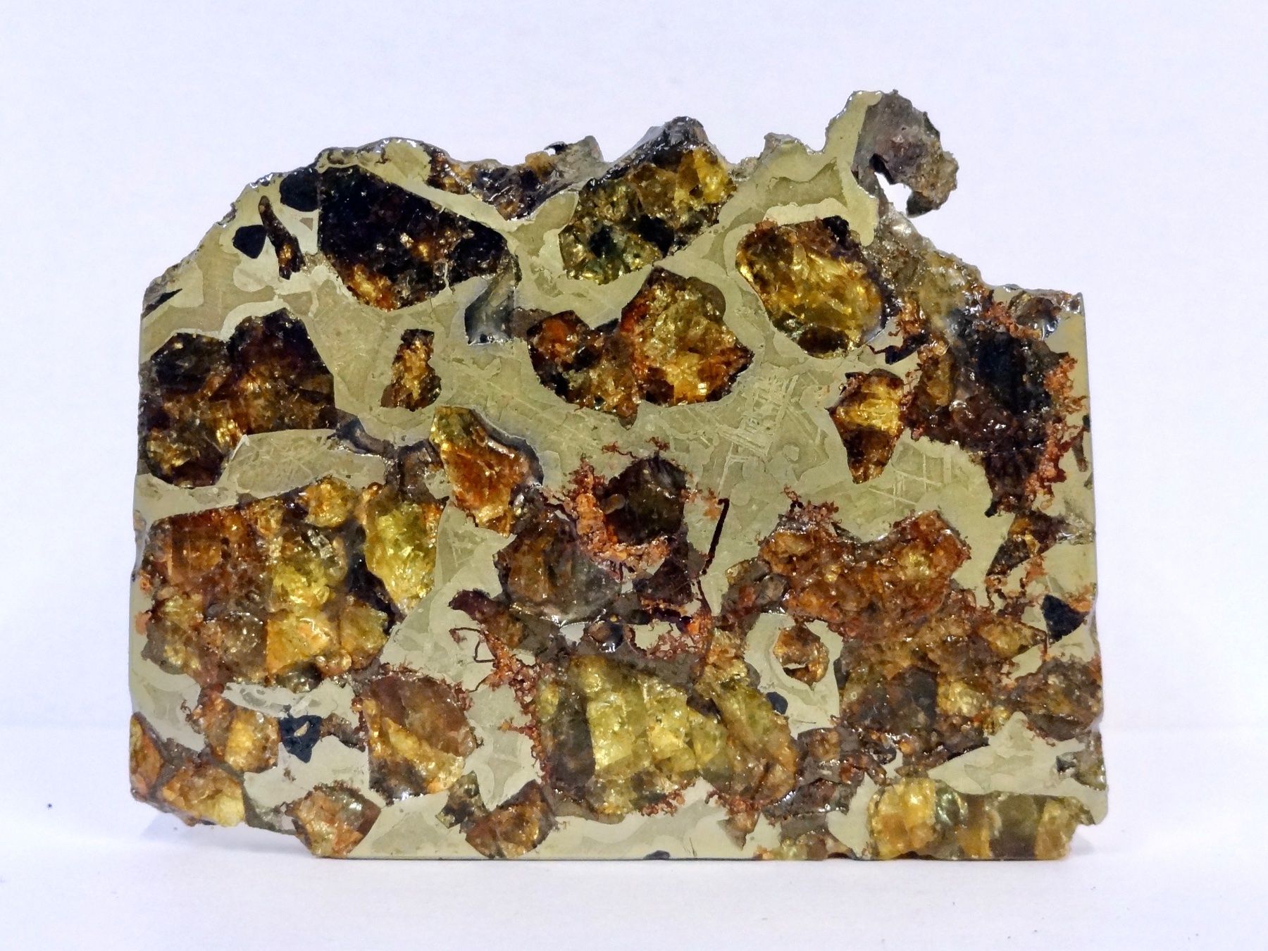 Minerali & Pietre curative: Meteorit PALLASIT Eisen-Stein-Meteorit BRAHIN BELARUS – Nuovo (secondo la descrizione) da Kerzers venduto da djstarsky73