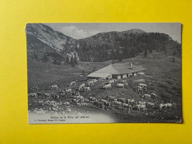 Cartoline postali: Châlet de la Dôle Saint-Cergue – Usato da St-Prex venduto da Epicard
