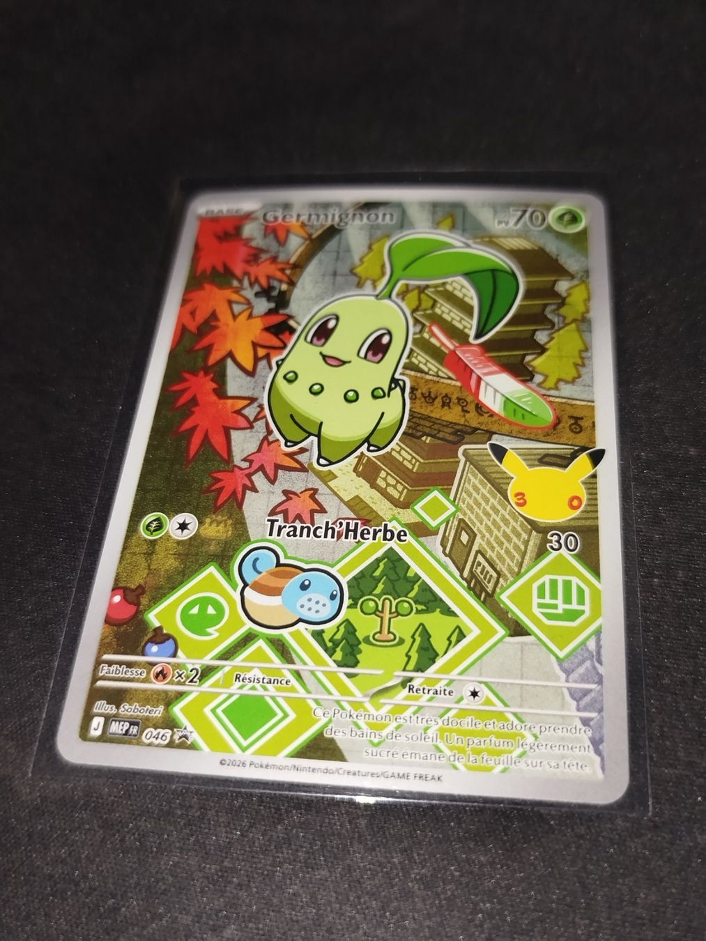 Pokémon Carte collezionabili: Trio 2g 30 ans – Nuovo e nell'imballaggio originale da Aigle venduto da m.13 1