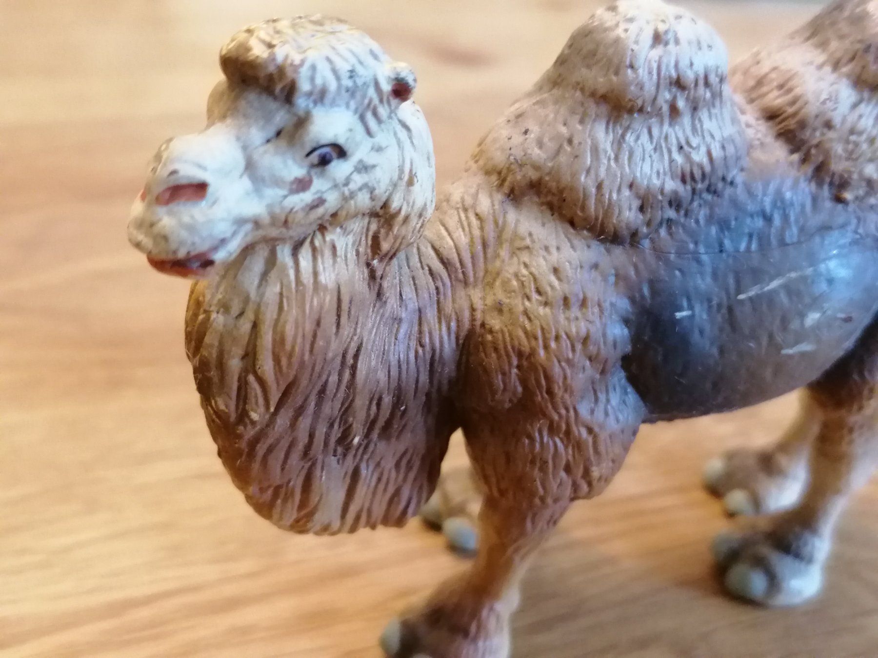 Figurines: Kamel Tierfigur – D'occasion à Basel par vintagecollector 1
