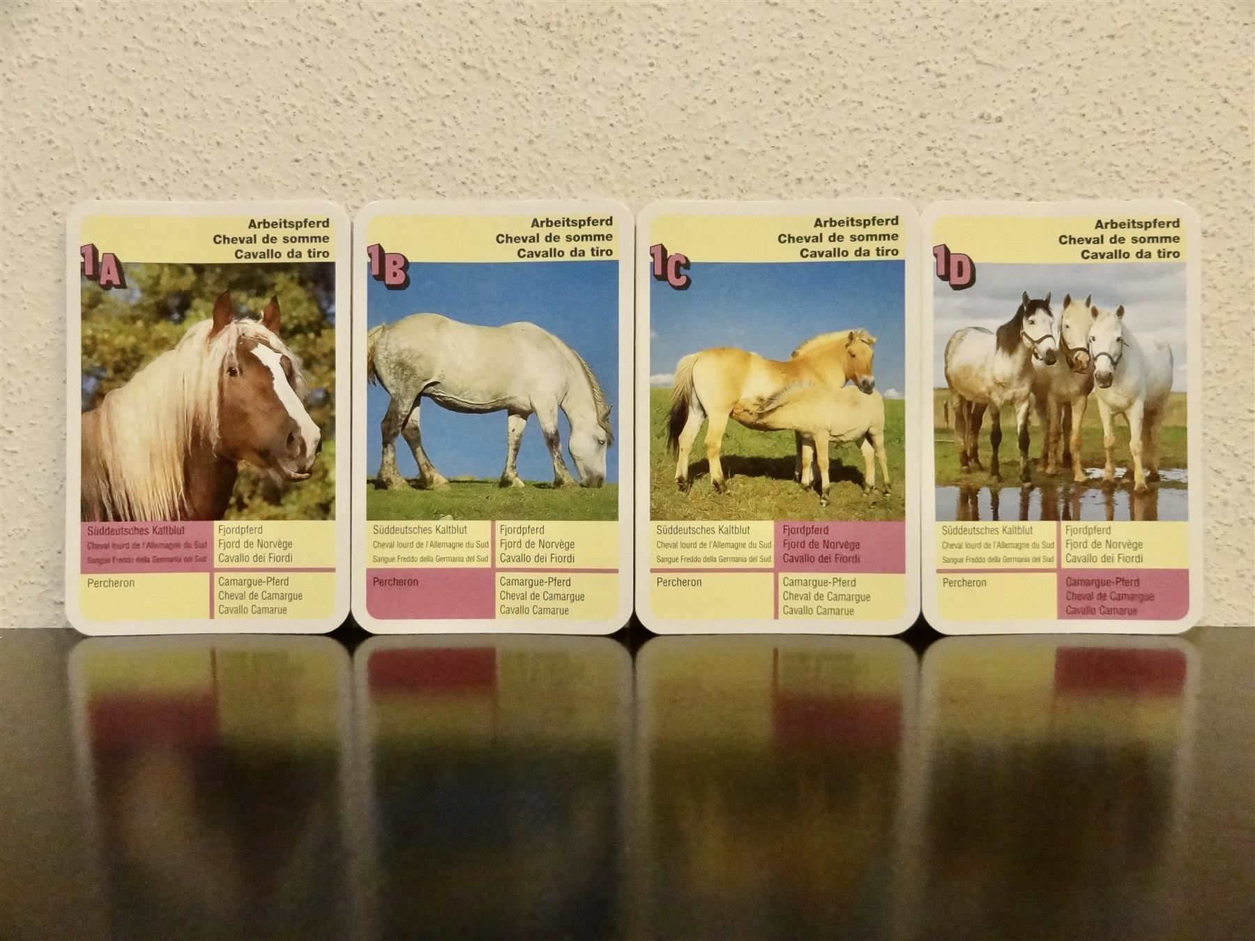 Ravensburger Giochi: Quartett TIER-QUARTETT PFERDE PFERD – Usato da Kerzers venduto da wisaundso 3