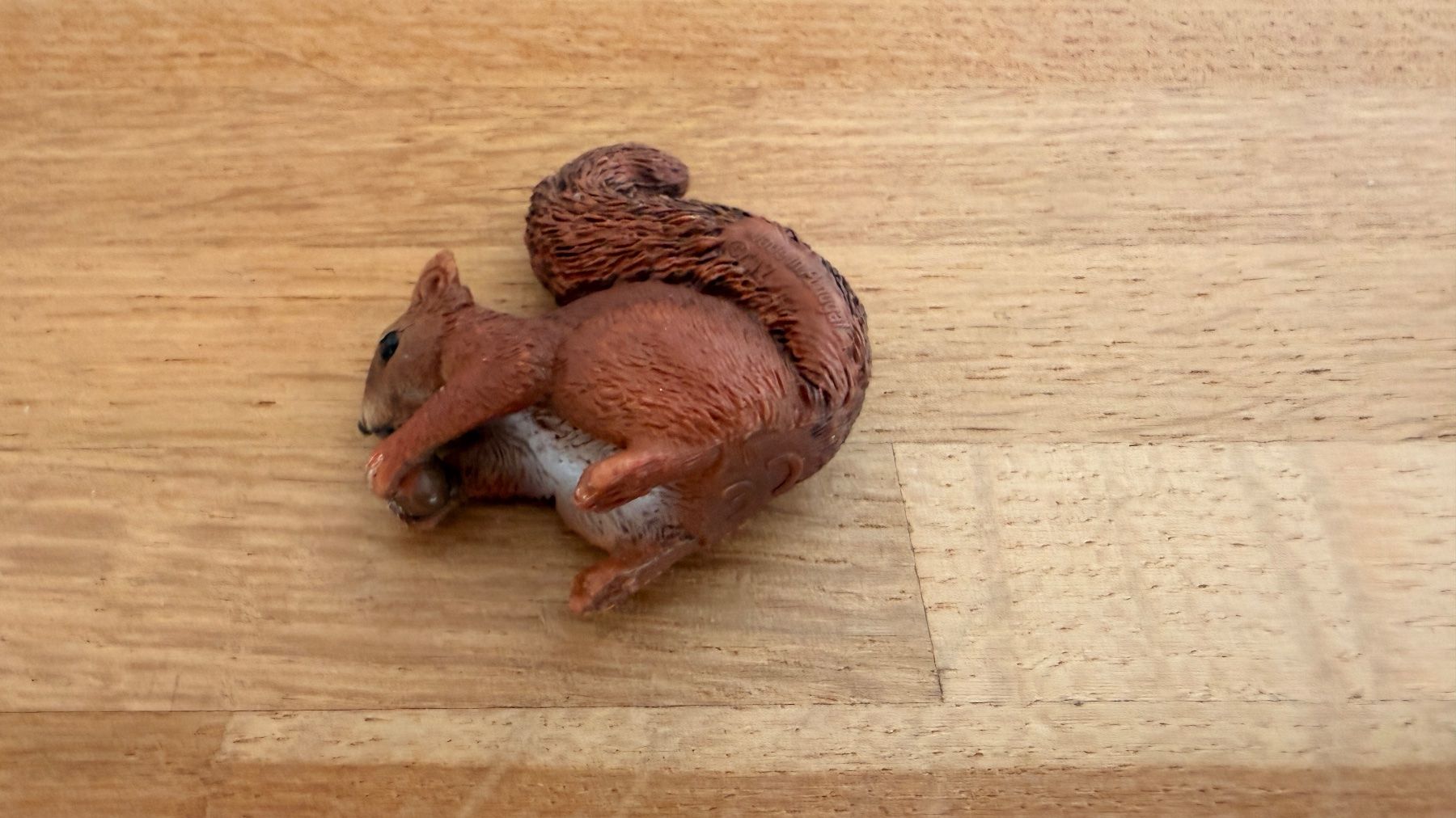 Schleich Giocattoli: SCHLEICH - Eichhörnchen 14684 – Usato da Winterthur venduto da Secondhand-Family 6