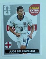 Bellingham PANINI EXTRA Silber