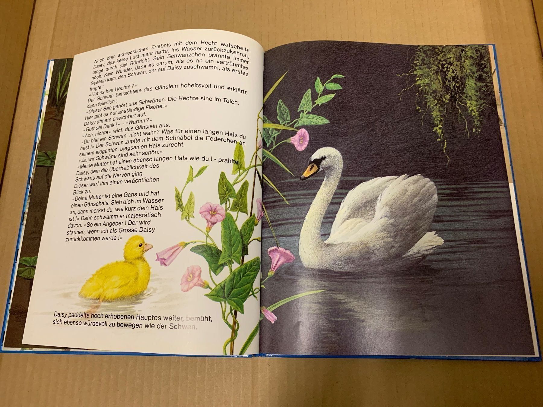 Bücher: Daisy das hochnäsige Gänslein (Buch) – Gebraucht aus Eschlikon TG von RamonaSt 6