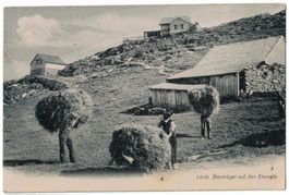 Heuträger auf der Ebenalp, um 1915