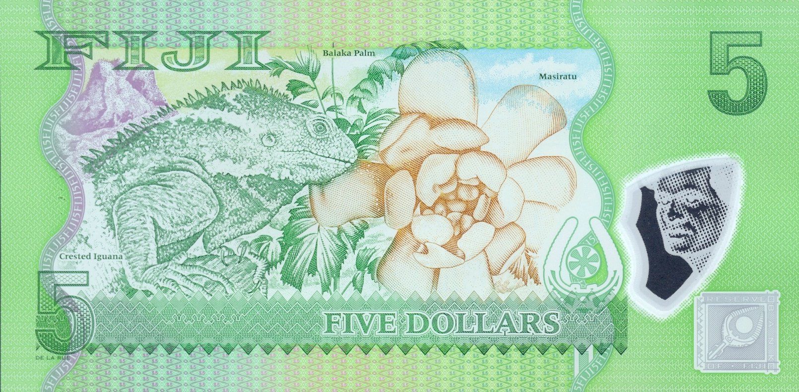 Banconote: Fiji 5 Dollar 2013 P-115a UNC – Nuovo (secondo la descrizione) da Schliern b. Köniz venduto da pizzitaxi 1