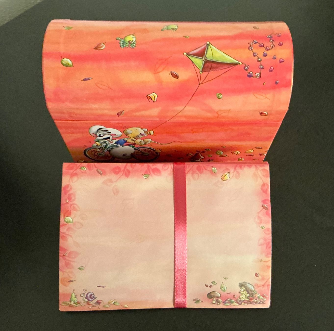 Papiere: Diddl Briefpapier Box – Neu (gemäss Beschreibung) aus St. Margrethen SG von vista23 3