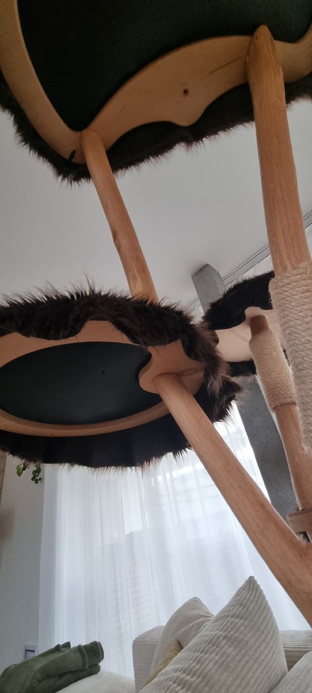 Tiragraffi: Designer Kratzbaum mit 5 Ebenen aus Echtholz – Usato da Hunzenschwil venduto da niicoo 1