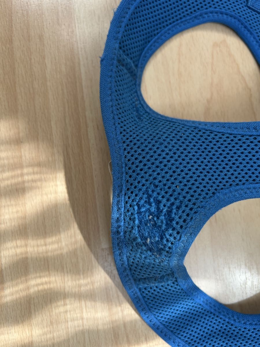 Kletterausrüstungen: Curli Hundegeschirr – Gebraucht aus Weite von nag_xn7g 6